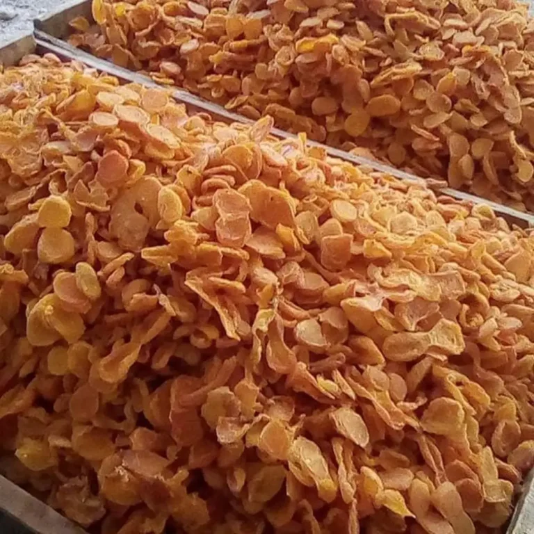 برگه زردآلو آفتابی درجه یک