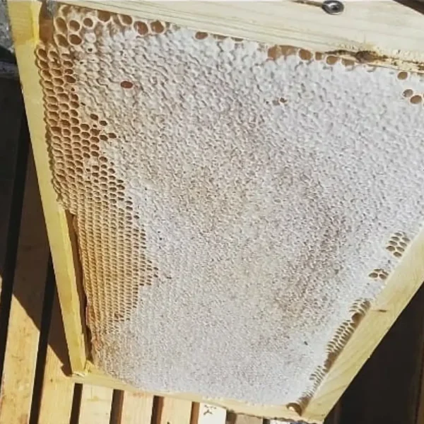 عسل چهل گیاه با موم طبیعی