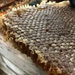 عسل چهل گیاه با موم طبیعی