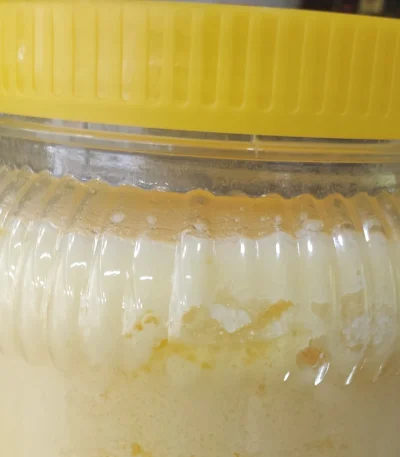 روغن زرد حیوانی