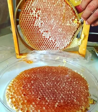 عسل گون (بدون ساکُروز) باموم گرد
