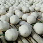 کشک محلی گوسفندی