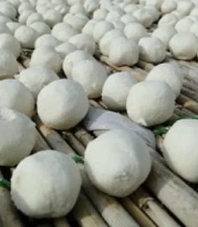 کشک محلی گوسفندی